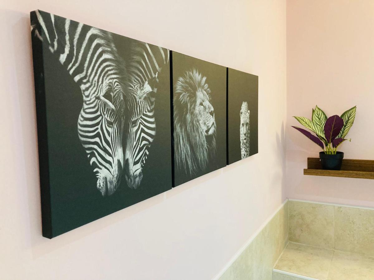 Jungle Escape, With Parking & Terrace Apartment