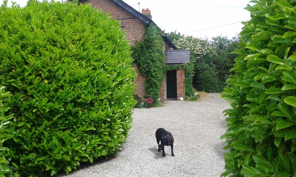 Bed & Breakfast Newton Hall Chester