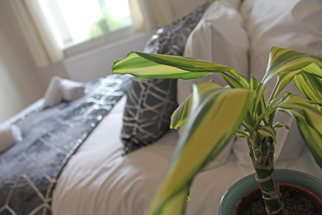 Recently Refurbished 3 Bedroom With Parking - Perfect For Longstays - Sleeps 8 Holiday home *