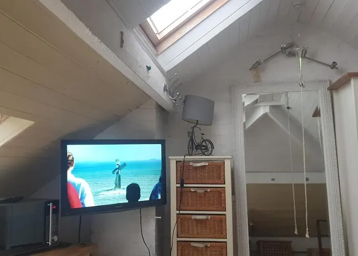 Le Studio Attic , Fridge Tv Microwave,