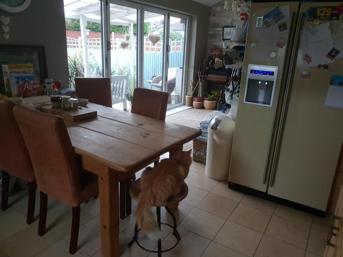 Le Attic , Fridge Tv Microwave, Homestay *