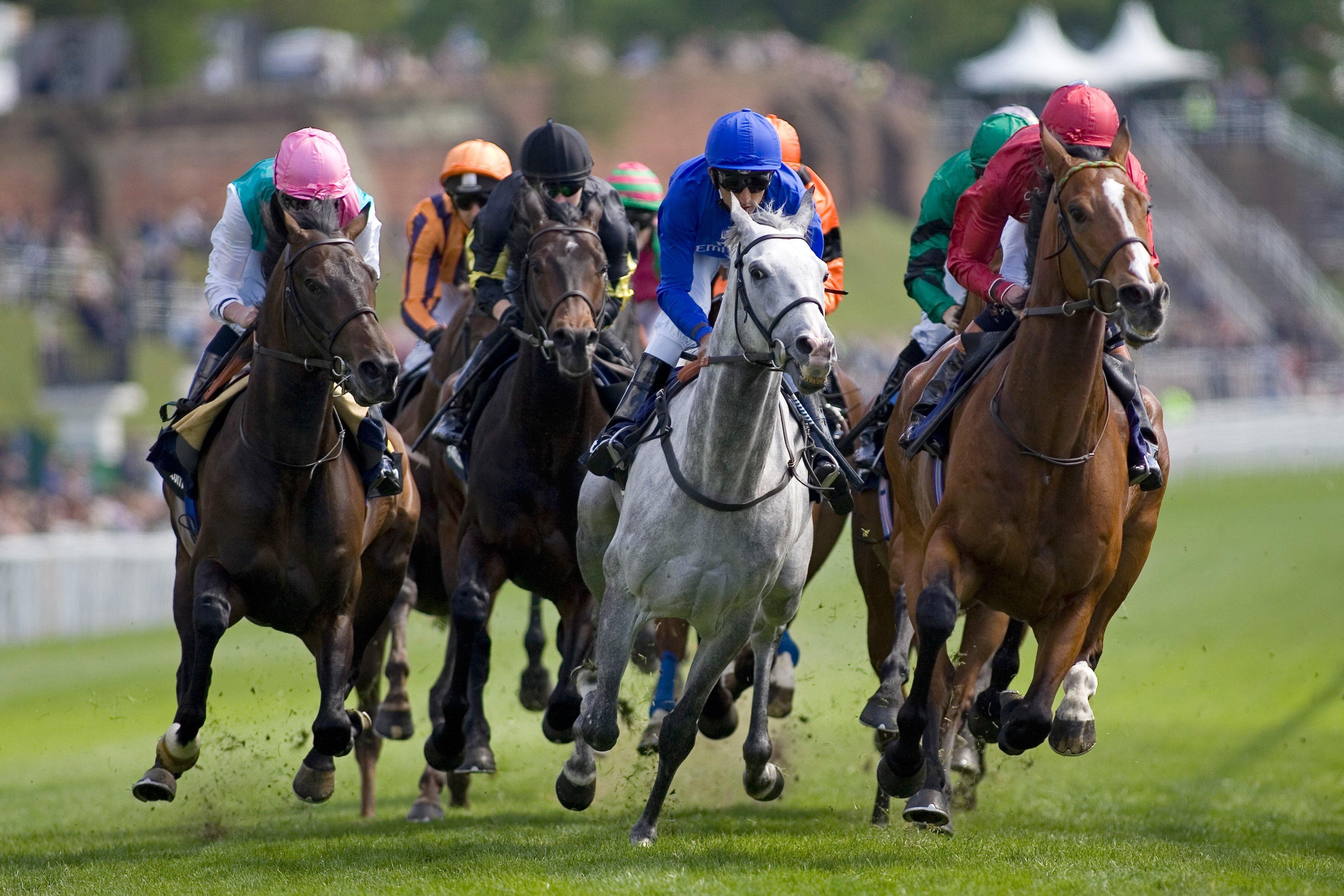 Express, Racecourse Hotel Chester