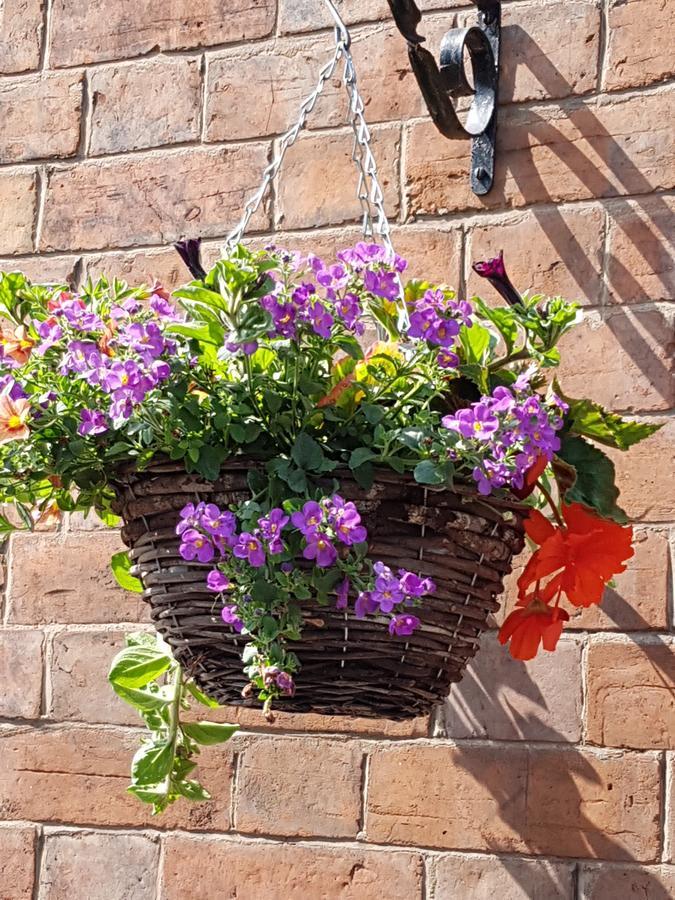 Alexandra Guest house Chester